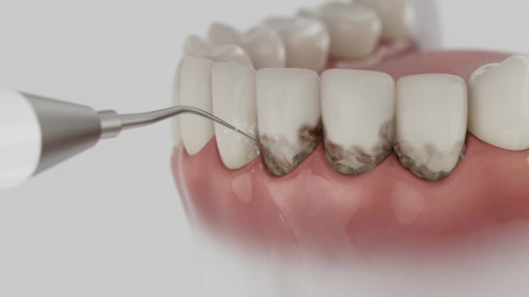 Reliable Dental contractor in Cahokia, IL by Dentist Open Now